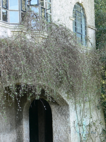 Bois des Moutiers (108) mars 2012